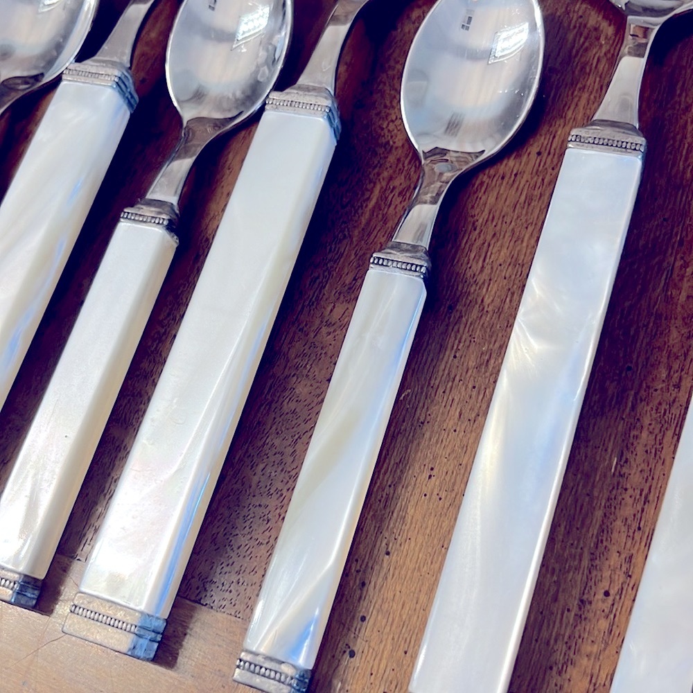 Arte Italica Mother of Pearl Flatware 54 pcs Gorgeous Mid-Century Modern design